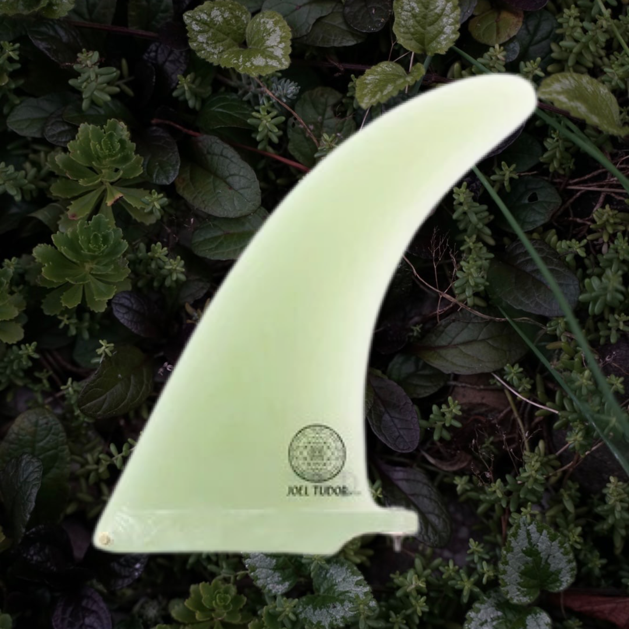 Fins – pastelsurf